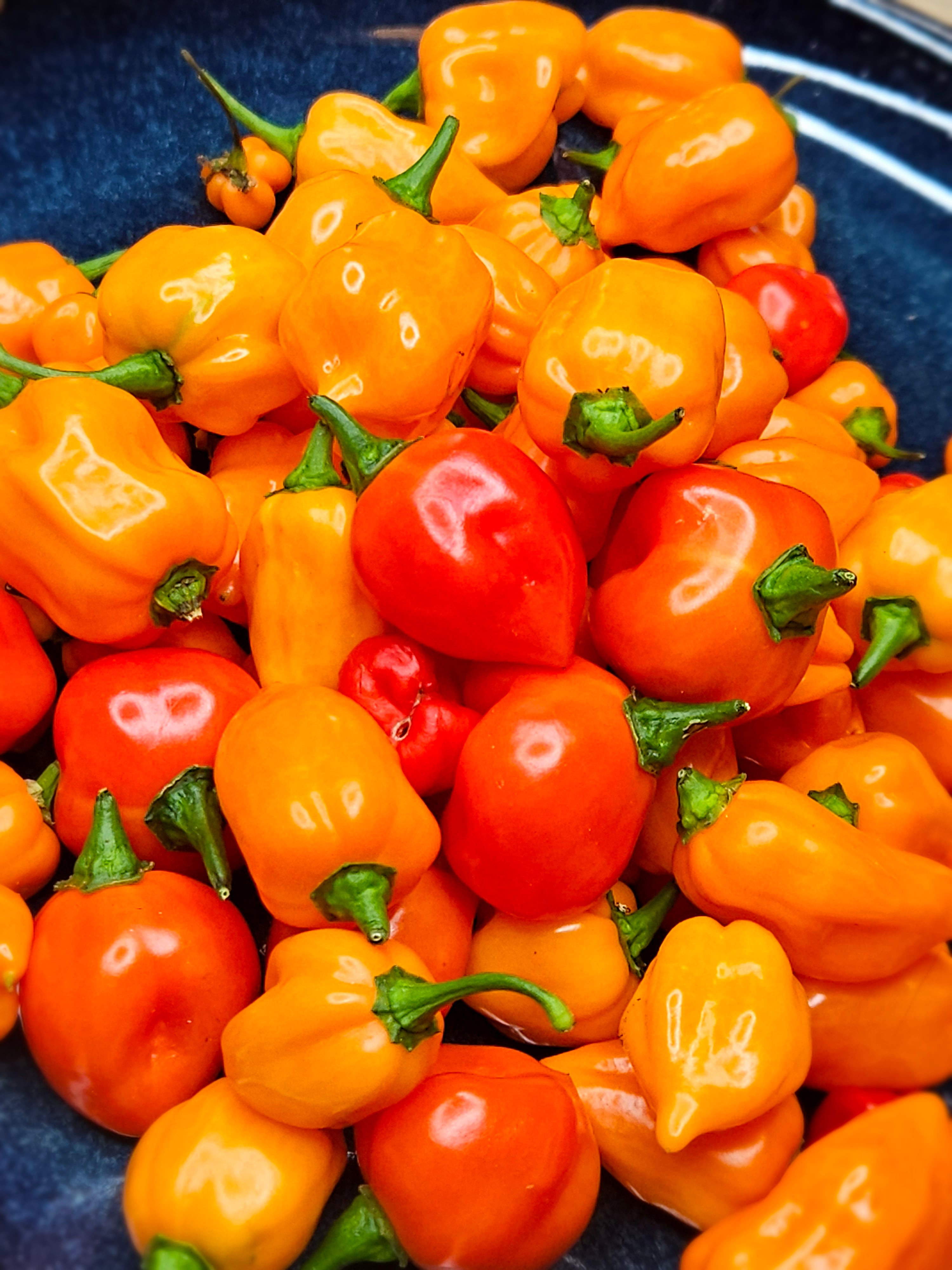 Original Habanero Hot Sauce